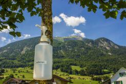 disinfectant