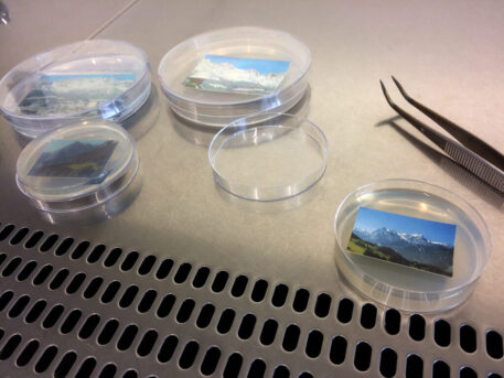 plating-alpine-represenations