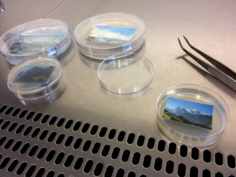 plating-alpine-represenations